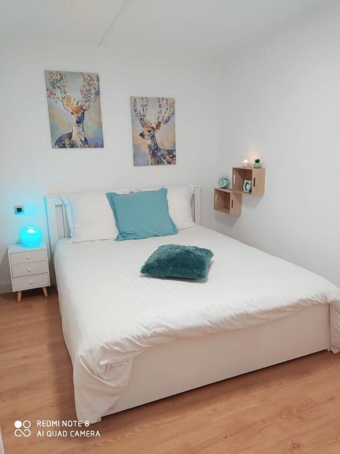 Appartement Rez De Chaussee 2 Chambres Avec Terrasse Cambo-les-Bains Zewnętrze zdjęcie